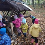 phoca_thumb_m_krteci u krmelce 8 Fotogalerie